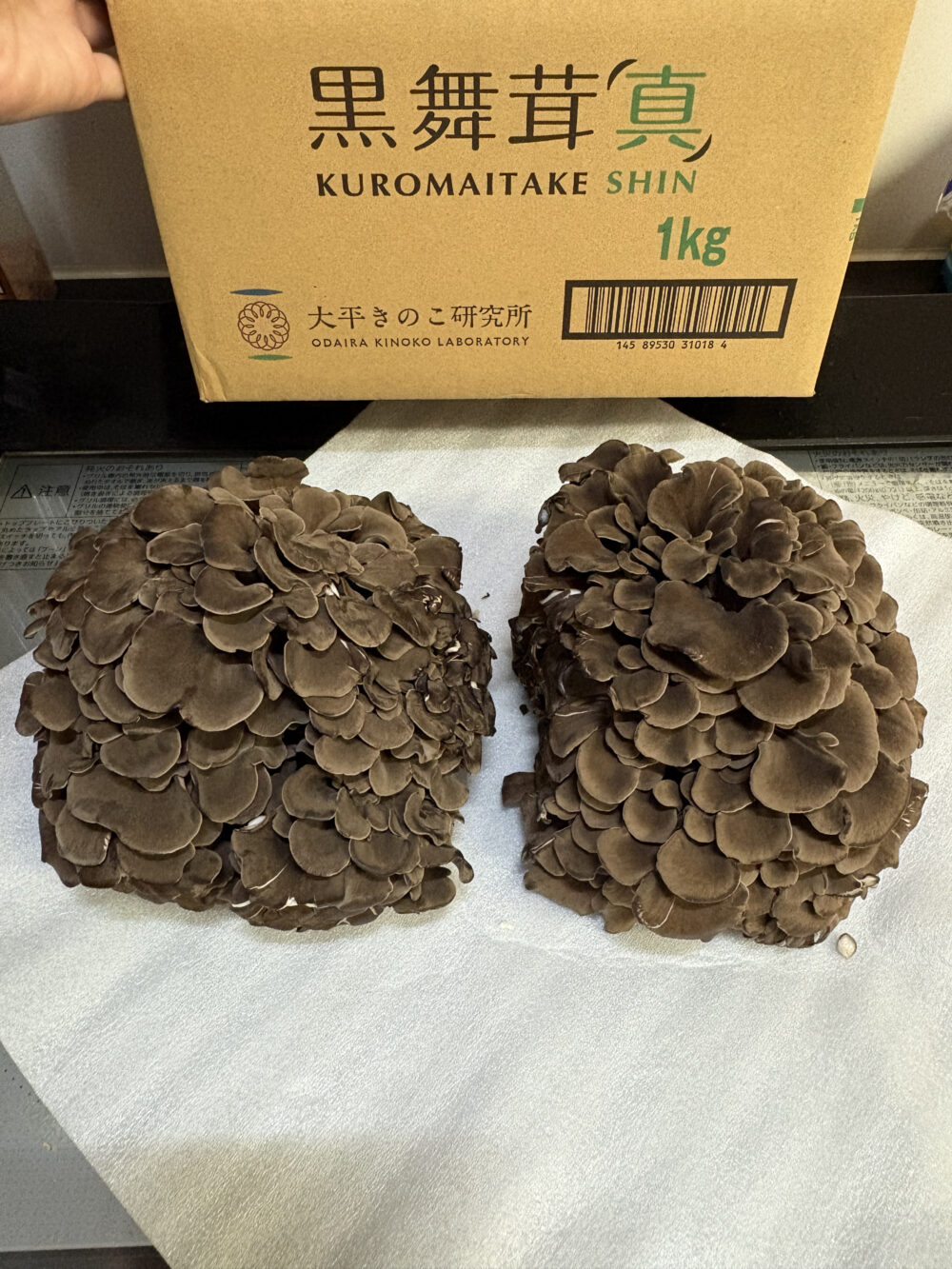 スーパーでは味わえない！香り豊かな黒舞茸を故郷納税で